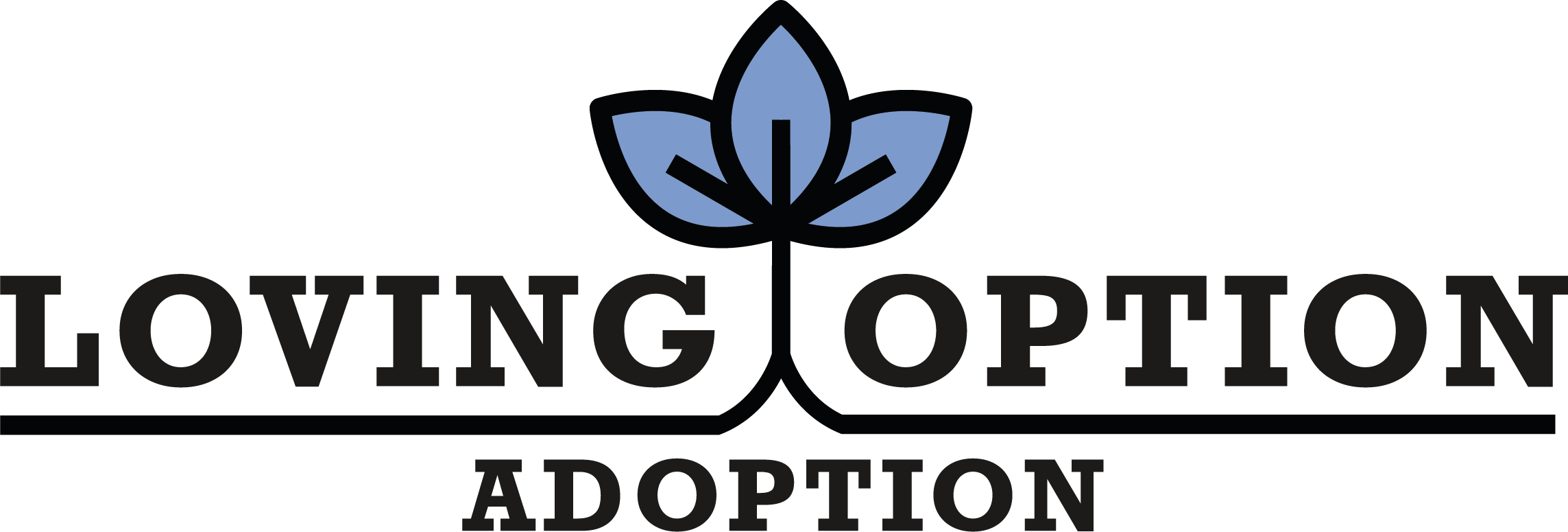 A Loving Option Adoption